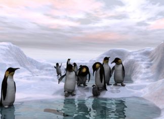 Kizöldül az Antarktisz?