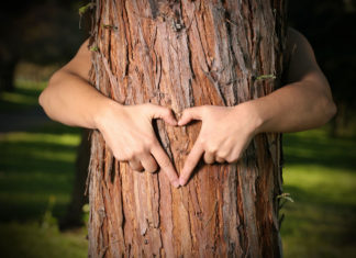 85 kg papírhulladékot termel egy átlagos magyar