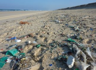 Eldobott gumikesztyűk és maszkok szennyezik a Földközi-tengert