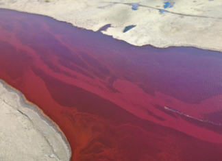 Húszezer tonna olaj került két orosz folyóba