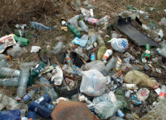 Tisztítsuk meg az országot!