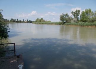 Évekig tarthat a dunai olajszennyezés kármentesítése