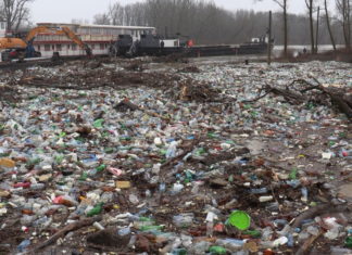 Tonnaszám halásszák le a szemetet a Tiszáról