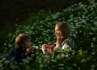 FENNTARTHATÓSÁGI TÉMAHÉT A KÉK BOLYGÓ ALAPÍTVÁNY SZERVEZÉSÉBEN