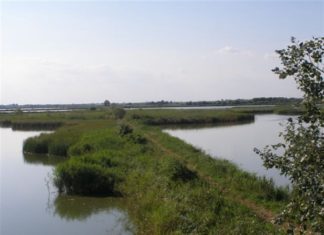 Ökoturisztikai fejlesztés a Csaj-tavon