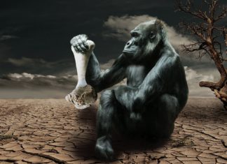 Évek óta nem látott szinten a súlyos éhezés