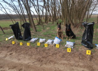 Az MME kutyás egysége világhírre tör