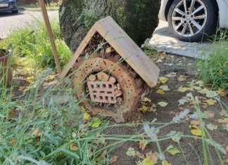 Felhívás ! Február végéig érdemes elkészíteni és kihelyezni a méhecskehoteleket, amikkel a lakosság is sokat tehet a beporzó rovarok védelméért!