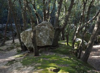 Az Országgyűlés fenntarthatósági mandátummal ruházta fel az MNB-t