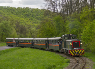 Megújult a Királyréti Erdei Vasút és a Kemencei Erdei Múzeumvasút