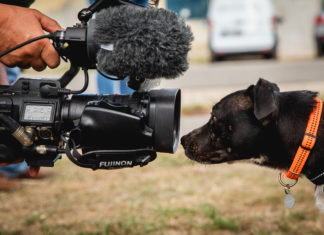 Nagy sikerrel zárult a felelős állattartást elősegítő pályázat