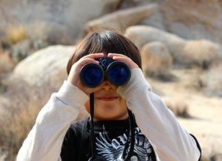 Két kategóriában is dobogós Magyarország a 28. Európai Madármegfigyelő Napok rendezvényen