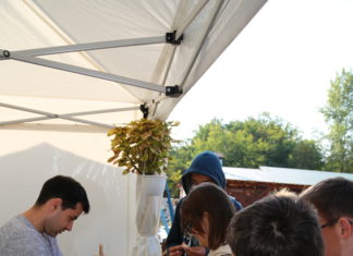 Öko-Sziget Szigetmonostoron