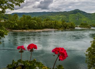 Lendületesen fejlődnek a magyar-szerb agrárgazdasági kapcsolatok