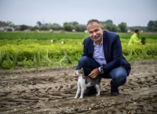 Kedvező eredményekkel befejezésükhöz közelednek az őszi szántóföldi vetési munkálatok