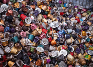 A Pannonhalmi Főapátság levendulamezőin hasznosítják újra a használt Nespressokapszulákból kinyert kávézaccot