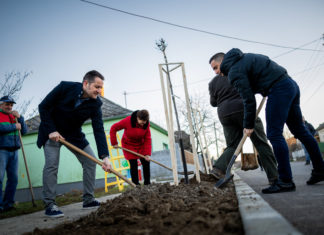 Zöldülnek a települések Veszprém megyében