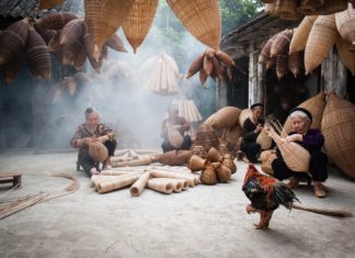 Hölgycsokor, nemcsak nőknek a fenntarthatóság jegyében