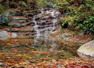 LEZÁRULT A KISVÍZI ÉLŐHELYEK VÉDELMÉRŐL SZÓLÓ KEHOP PROJEKT