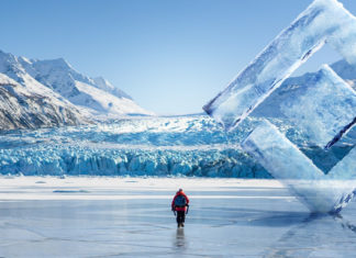 Eljött a fenntartható technológia ideje – így segíthetik a zöld jövőt a vállalatok