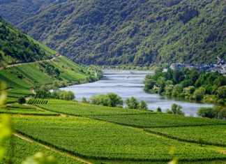 ePincekönyv rendszer indul júniustól