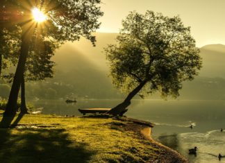 Folyamatosak a vizes élőhelyek védelmét szolgáló fejlesztések