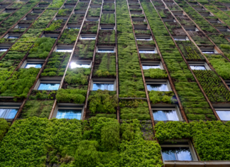 A hazai vállalatok ESG-jelentései tartják a lépést az erősödő közzétételi kötelezettségekkel