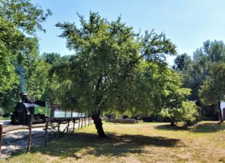 ÉLEDŐ GEMENC! – SZEZONNYITÓ CSALÁDI NAP