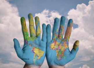 Egyre népszerűbbek a hazai tájfajta és bioélelmiszerek