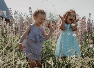 Az agrárium termelékenységét szolgálják a megnövekedett támogatások