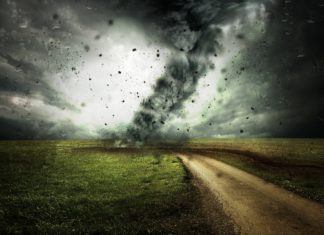 180 civil szervezet önálló környezetvédelmi minisztériumot kér a Miniszterelnöktől