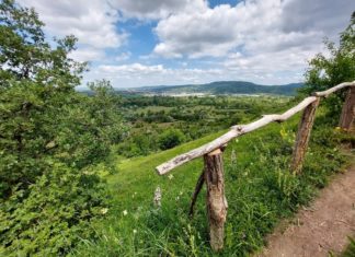 Több mint 200 programot kínál évente a Duna-Ipoly Nemzeti Park