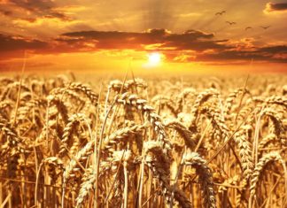 Sikeresen lezárult az egységes kérelembenyújtás időszaka