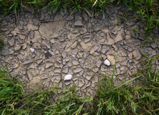 Súlyosbodik az aszály, a vízügy országosan összehangolja a vízhiány elleni készültséget