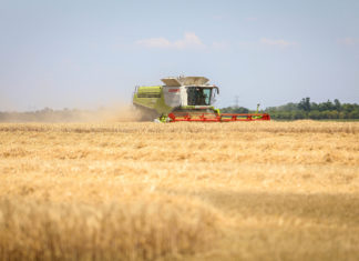 Folyamatosan zajlik a betakarítás a földeken