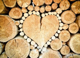 Hatalmas az érdeklődés a kormány Tűzifaprogramja iránt