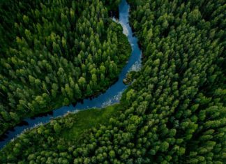 HONOR: „Zöld” működéssel a fenntartható jövőért!
