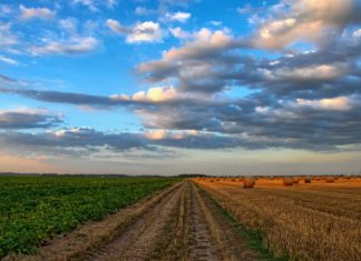 Folytatódik a földértékesítési program