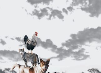 Továbbra is pályázhatnak infrastrukturális fejlesztésekre a tanyán élők