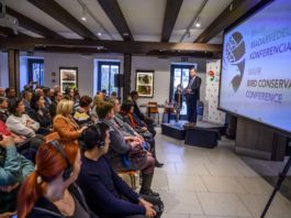 Kiemelt jelentőségű a madarakat fenyegető veszélyek mérséklése