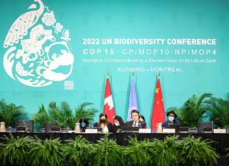 Megszületett a megállapodás az ENSZ biodiverzitás csúcstalálkozón