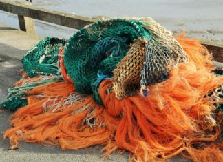 Az Európai Bizottság elfogadta a Magyar Halgazdálkodási Operatív Program Pluszt