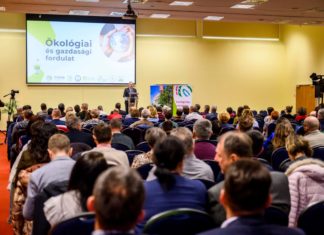 Ágazati stratégiára van szüksége a díszkertészeknek