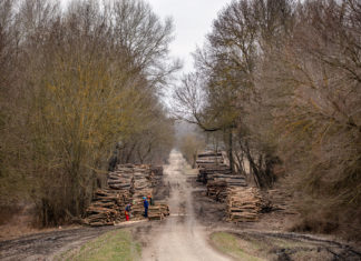 MINDEN IGÉNYLŐ ÖNKORMÁNYZATHOZ ELJUTOTT A SZOCIÁLIS TŰZIFA
