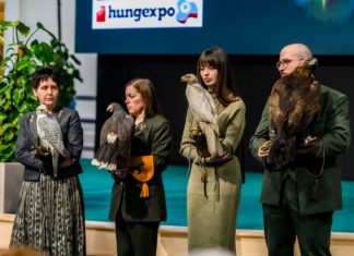 Hazánk vadállománya nemzeti érték