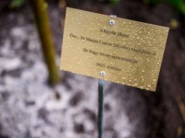 A beporzók megóvása közös kötelességünk