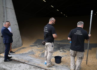 Szigorúan ellenőrzi a magyar hatóság az ukrán gabonát