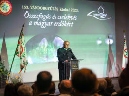 A magyar erdők az ország stratégiai erőforrását és természeti értékét jelentik