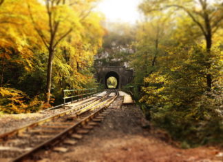 Természeti és kulturális értékeket őriznek a Bakonyi és Balaton-felvidéki erdők