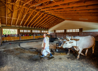 Átadták a somogyvámosi Krisna-völgy járgányházát